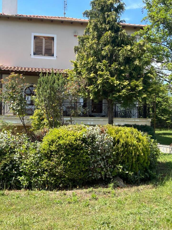 Zeusplace Karia Villa Natura Leptokarya  Exteriör bild
