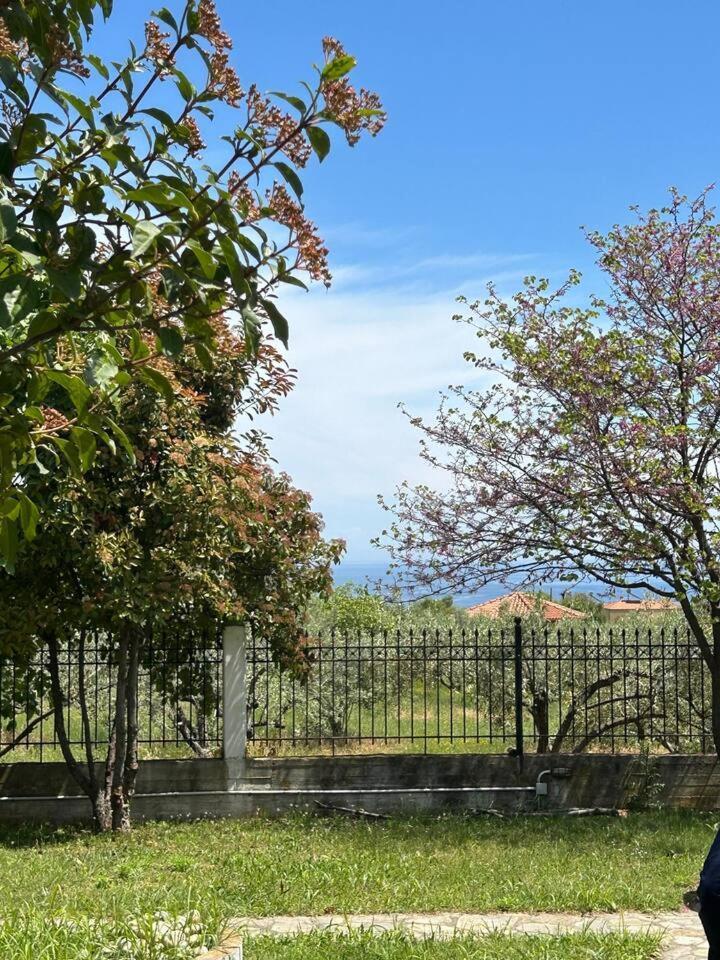 Zeusplace Karia Villa Natura Leptokarya  Exteriör bild