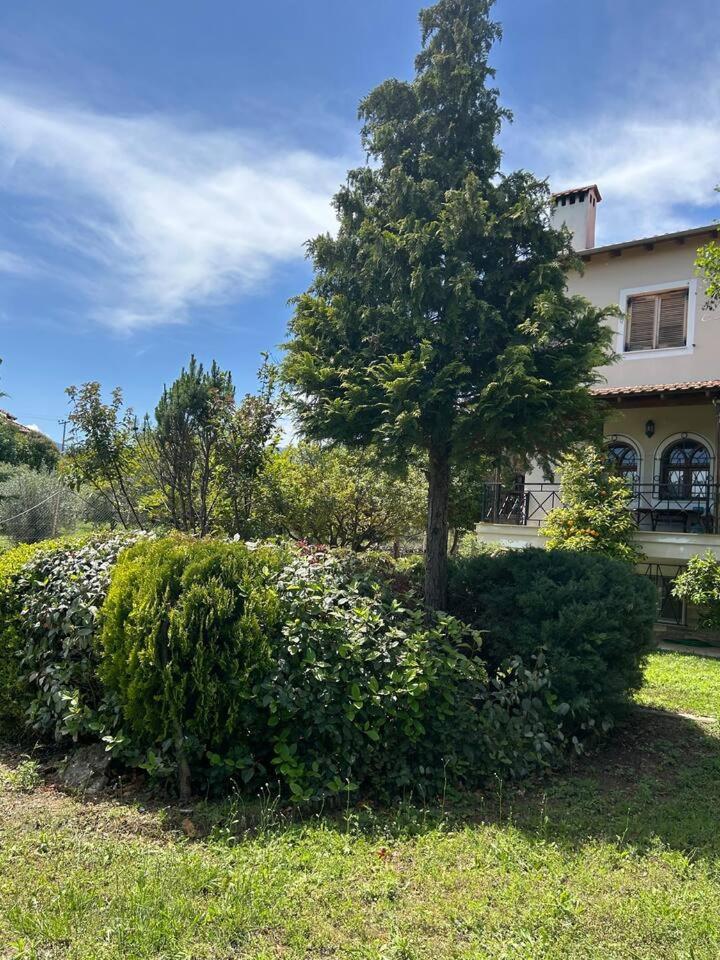 Zeusplace Karia Villa Natura Leptokarya  Exteriör bild