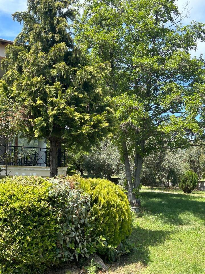Zeusplace Karia Villa Natura Leptokarya  Exteriör bild
