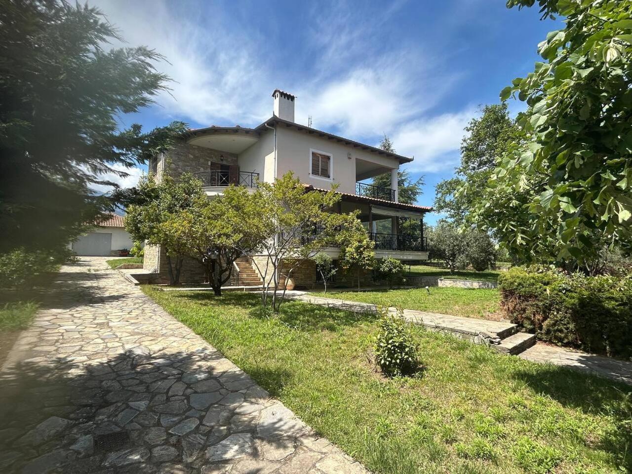 Zeusplace Karia Villa Natura Leptokarya  Exteriör bild